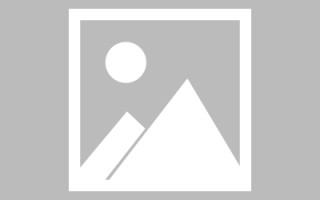 大丰网页设计展示ppt下载（网页设计ppt汇报）